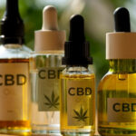CBD : les informations essentielles à connaître
